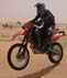 Avatar de Usuario